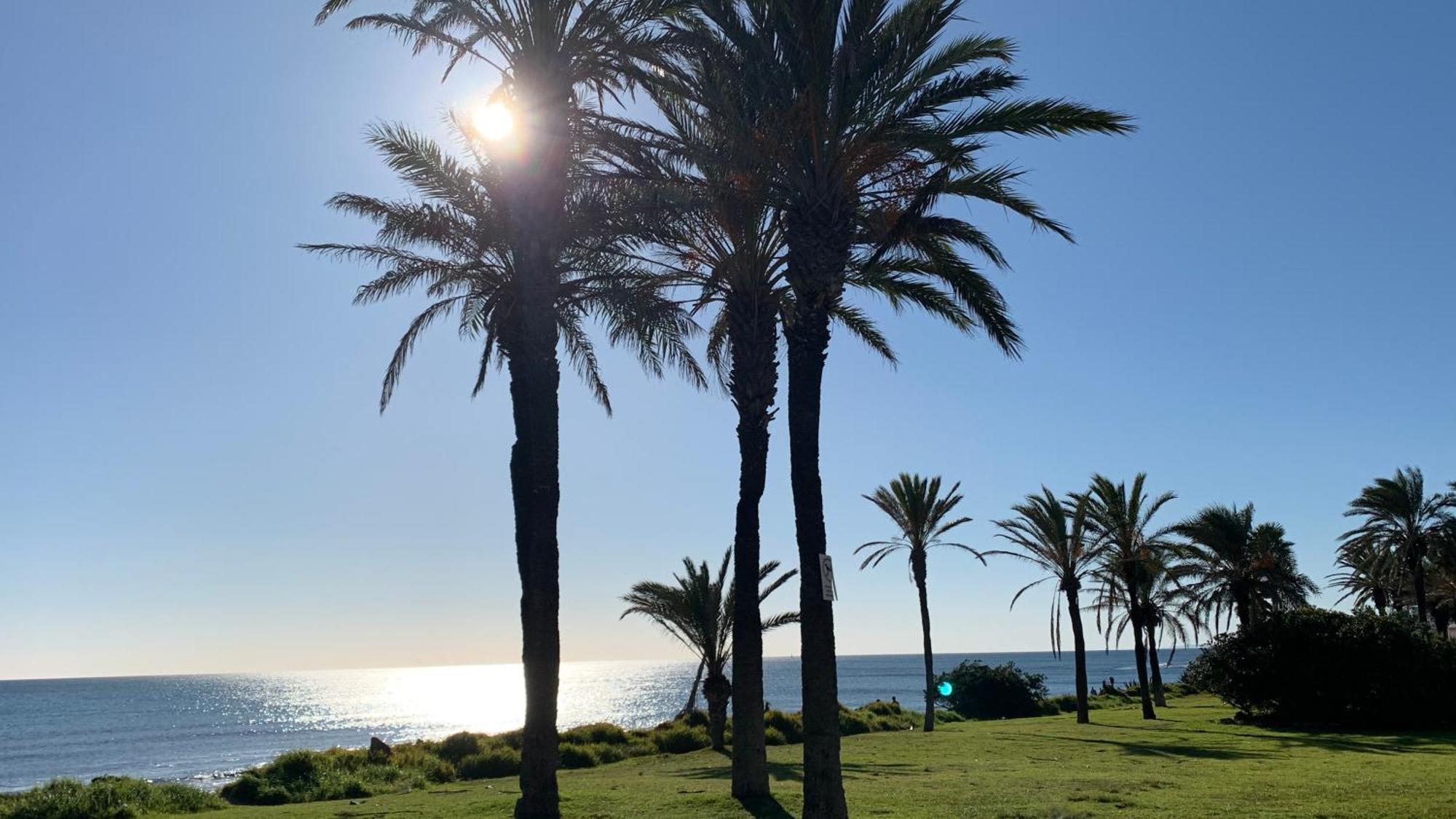 Apartment With Side Seaview 60 Meters From Sea Torrevieja Exterior foto